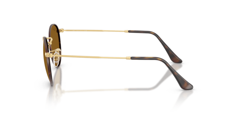 Matte Havana On Matte Arista Gold - 0RB3447 8056262484678