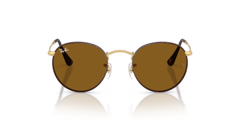 Matte Havana On Matte Arista Gold - 0RB3447 8056262484678