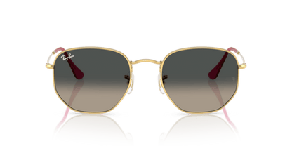 Arista Gold - 0RB3548N 8056262316627