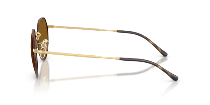 Matte Havana On Matte Arista Gold - 0RB3565 8056262484906
