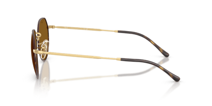 Matte Havana On Matte Arista Gold - 0RB3565 8056262484906