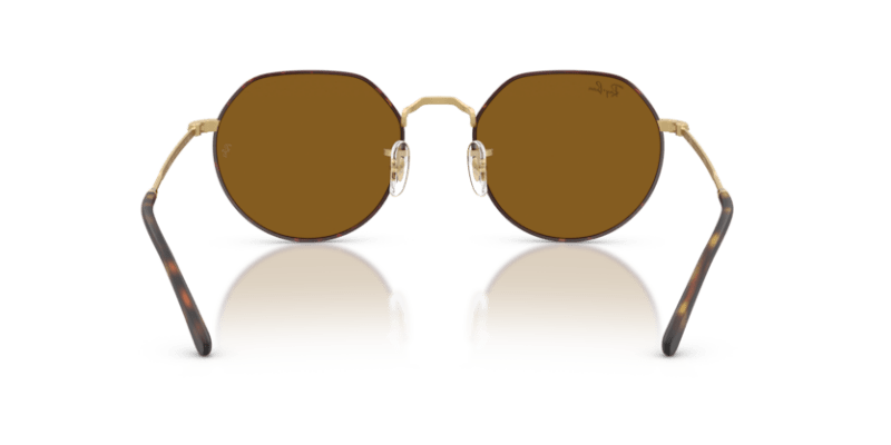 Matte Havana On Matte Arista Gold - 0RB3565 8056262484906