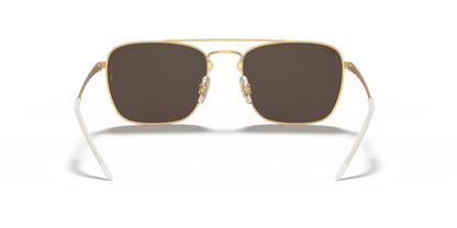 (Gold) Dark Brown -  8056597036191