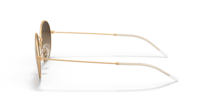 Gold On Brown - 0RB3594 8053672929072