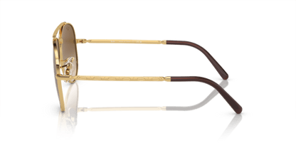 Arista Gold - 0RB3625 8056597948401