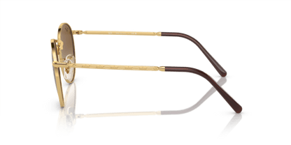 Arista Gold - 0RB3637 8056597948357