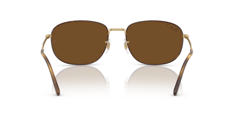 Matte Havana On Matte Arista Gold - 0RB3754 8056262416112