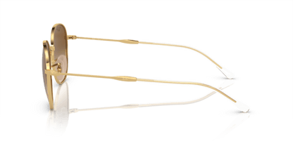 Arista Gold - 0RB3809 8056597935890