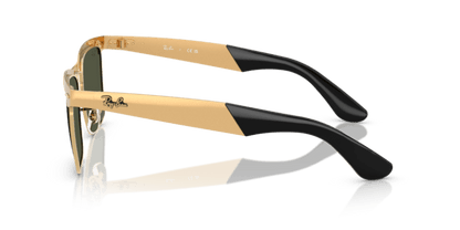 Sandblasted Legend Gold - 0RB3875 8056262435281