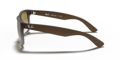 Brown - 0RB4165 713132587133