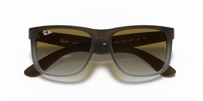 Brown - 0RB4165 713132587133