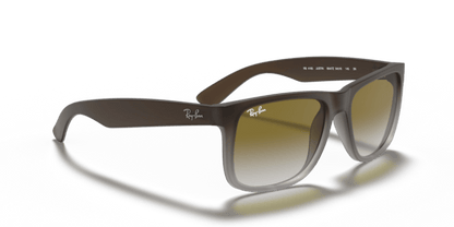 Brown - 0RB4165 713132587133