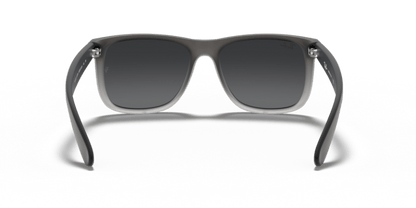 Grey - 0RB4165 713132587119