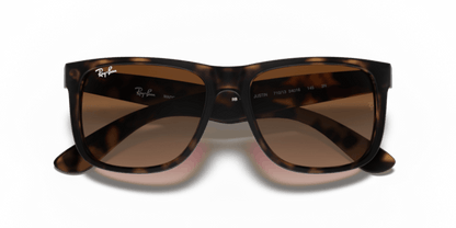 Havana - 0RB4165 713132587102