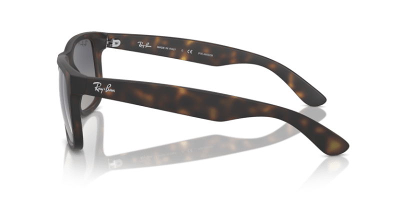 Havana - 0RB4165 8056262094341