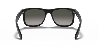 Rubber Black - 0RB4165 713132587096