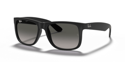 Rubber Black - 0RB4165 713132587096