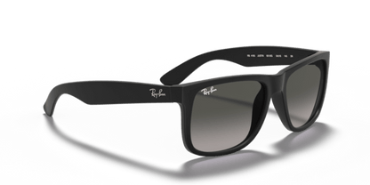 Rubber Black - 0RB4165 713132587096