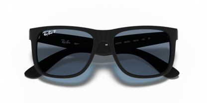 Rubber Black - 0RB4165 8053672508147