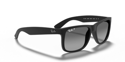 Rubber Black - 0RB4165 8053672495652