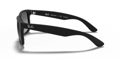 Rubber Black - 0RB4165 8053672495652