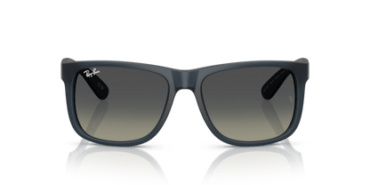 Rubber Blue - 0RB4165 8056262475171