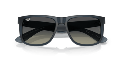 Rubber Blue - 0RB4165 8056262475171