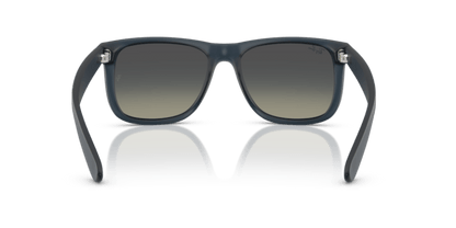 Rubber Blue - 0RB4165 8056262475171