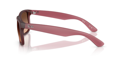 Rubber Violet - 0RB4165 8056262475195