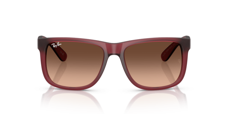 Rubber Violet - 0RB4165 8056262475195