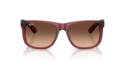 Rubber Violet - 0RB4165 8056262475195