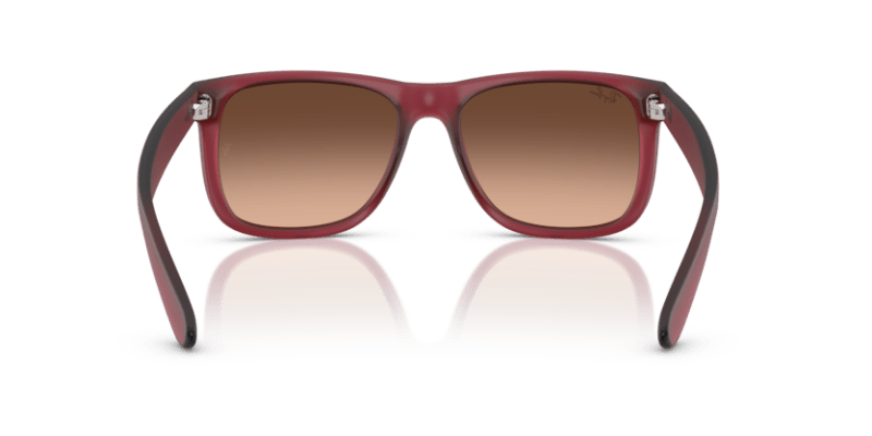 Rubber Violet - 0RB4165 8056262475195