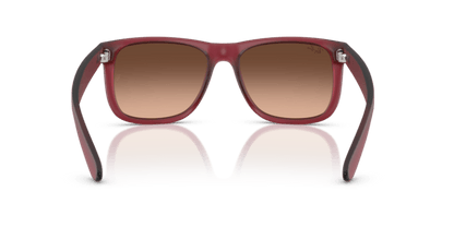 Rubber Violet - 0RB4165 8056262475195