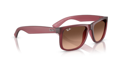 Rubber Violet - 0RB4165 8056262475195