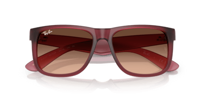 Rubber Violet - 0RB4165 8056262475195