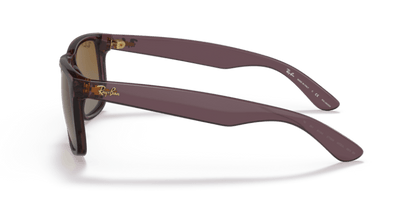 Transparent Dark Brown - 0RB4165 8056597616577