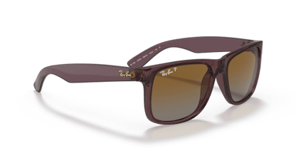 Transparent Dark Brown - 0RB4165 8056597616577