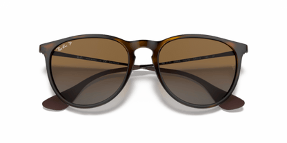 Light Havana - 0RB4171 8053672495744