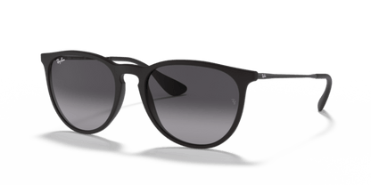 Rubber Black - 0RB4171 805289742463