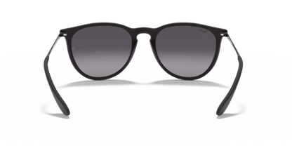 Rubber Black - 0RB4171 805289742463