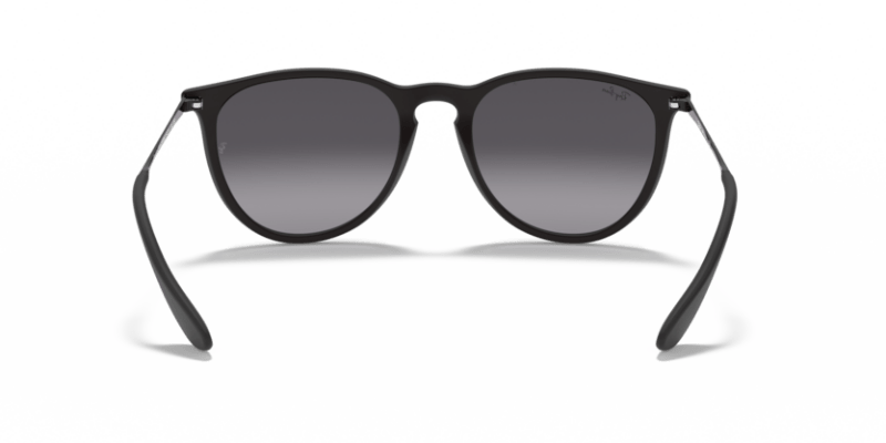 Rubber Black - 0RB4171 805289742463