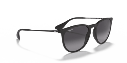 Rubber Black - 0RB4171 805289742463