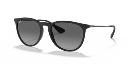 Rubber Black - 0RB4171 8056597142526