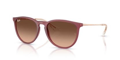 Rubber Violet - 0RB4171 8056262484647