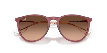 Rubber Violet - 0RB4171 8056262484647