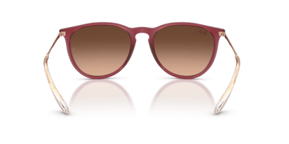 Rubber Violet - 0RB4171 8056262484647