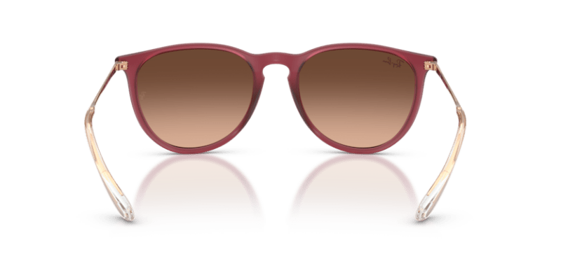 Rubber Violet - 0RB4171 8056262484647