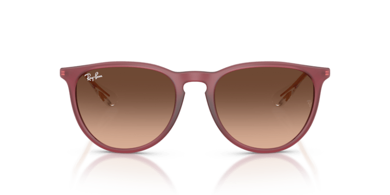 Rubber Violet - 0RB4171 8056262484647