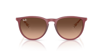 Rubber Violet - 0RB4171 8056262484647