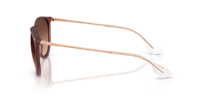 Rubber Violet - 0RB4171 8056262484647